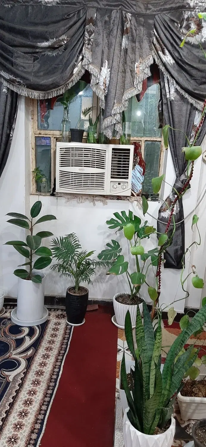 همخونه یا اجاره میخام