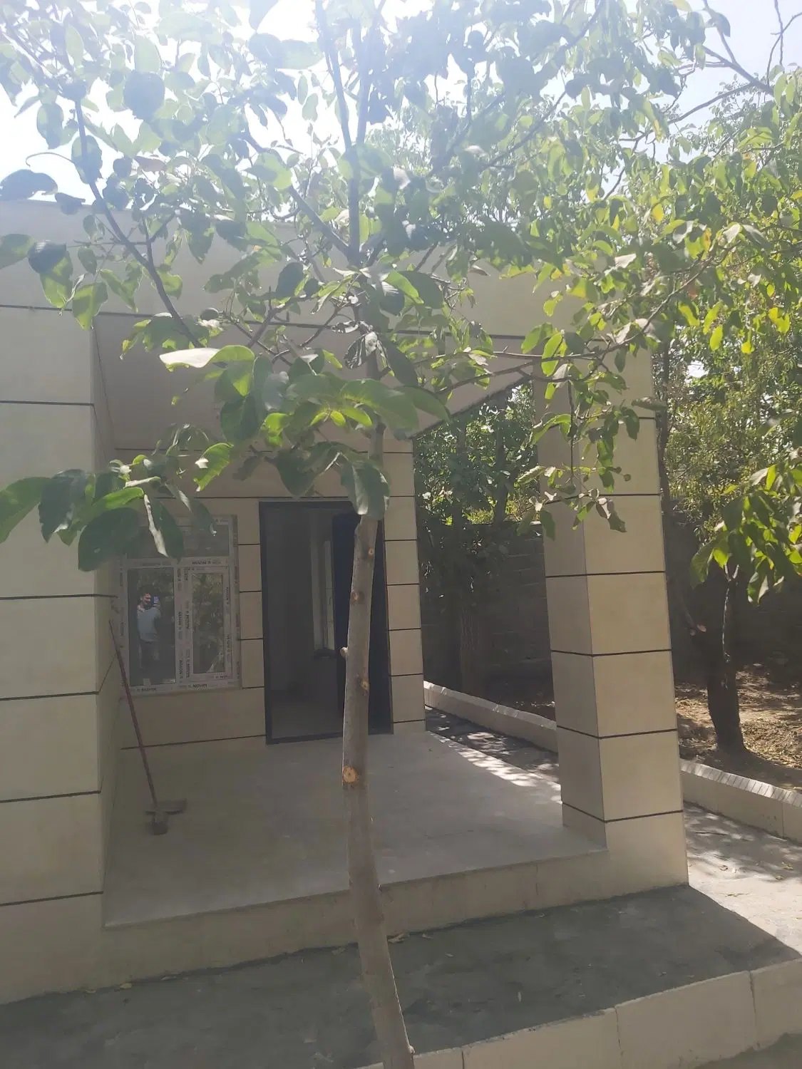 باع 300 متری
