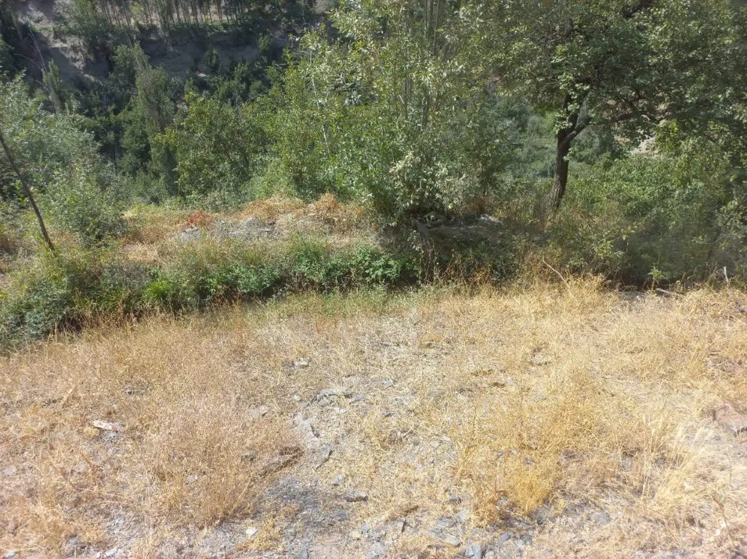 باغ واقع در زشک