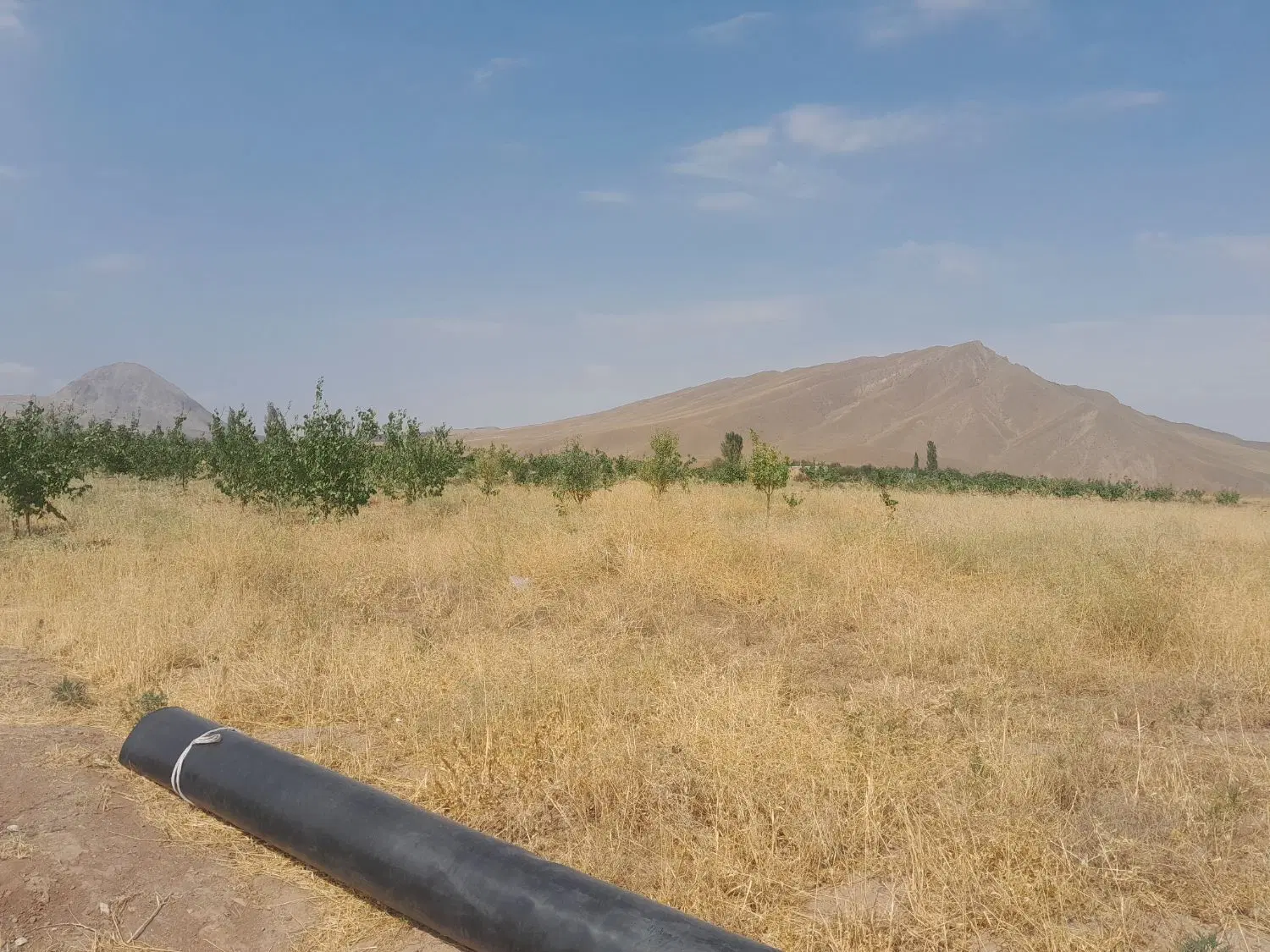زمین درروستای محبوب آبادزمینهای پیربالا