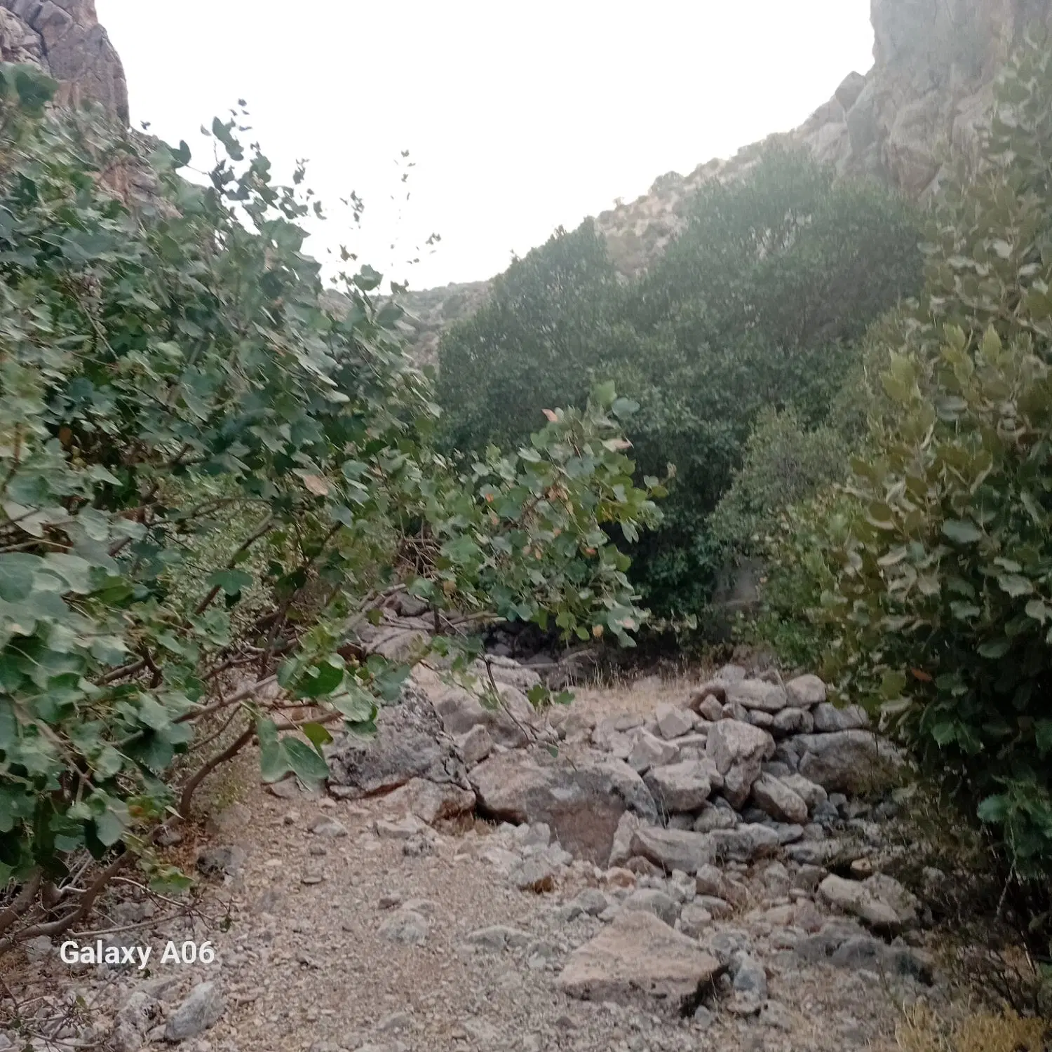 خانه میان دربند