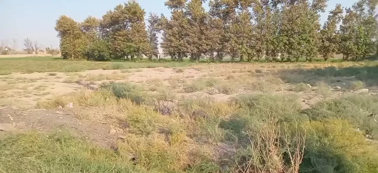 زمین به مساحت 1000متر
