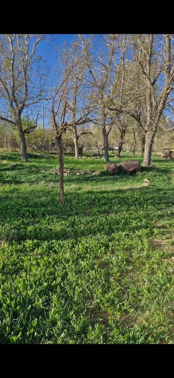 زمین مسکونی روستای گوغر