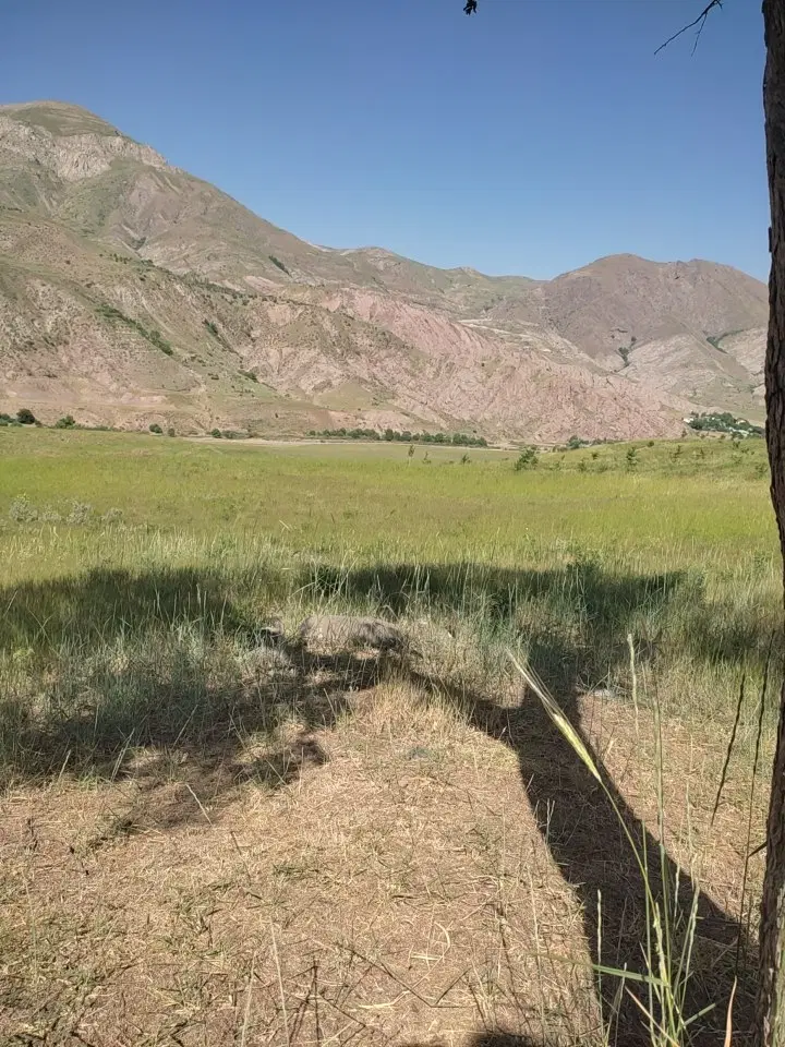 زمین ۱۰۰۰متری سنددار طالقان روستای کش