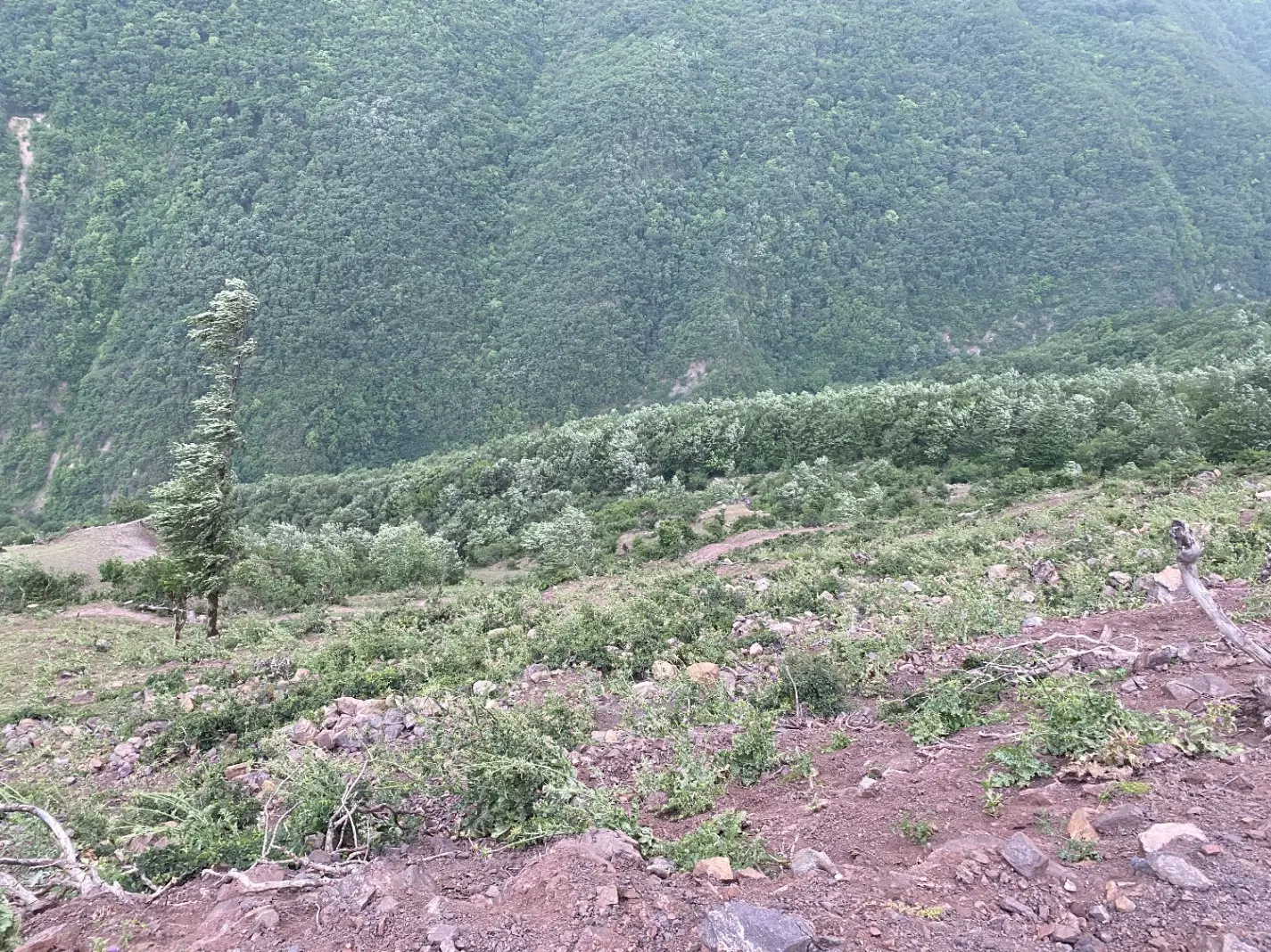 ۸۰۰ متر زمین واقع در روستای مکار
