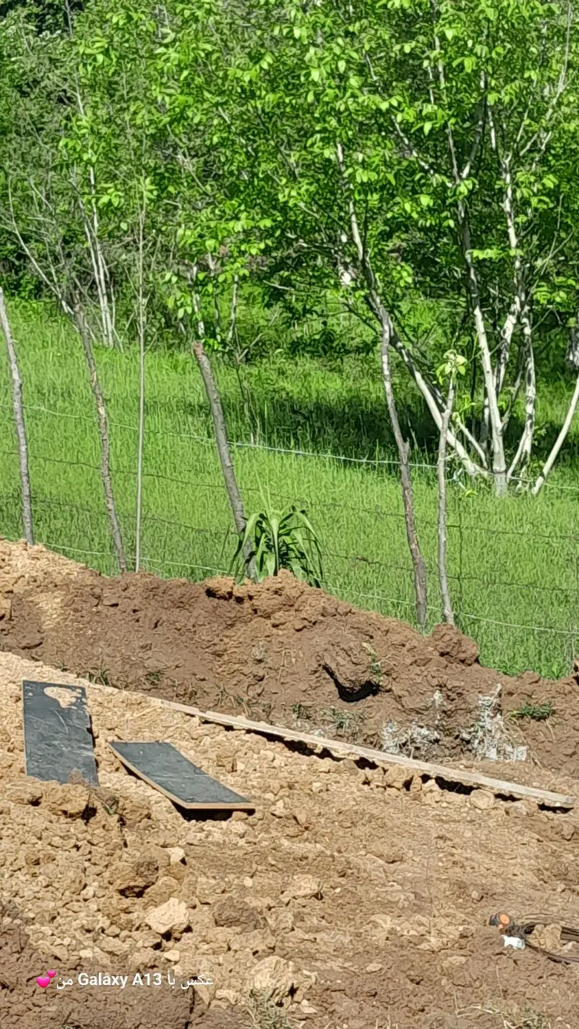زمین باغی ۱۳۰۰متر