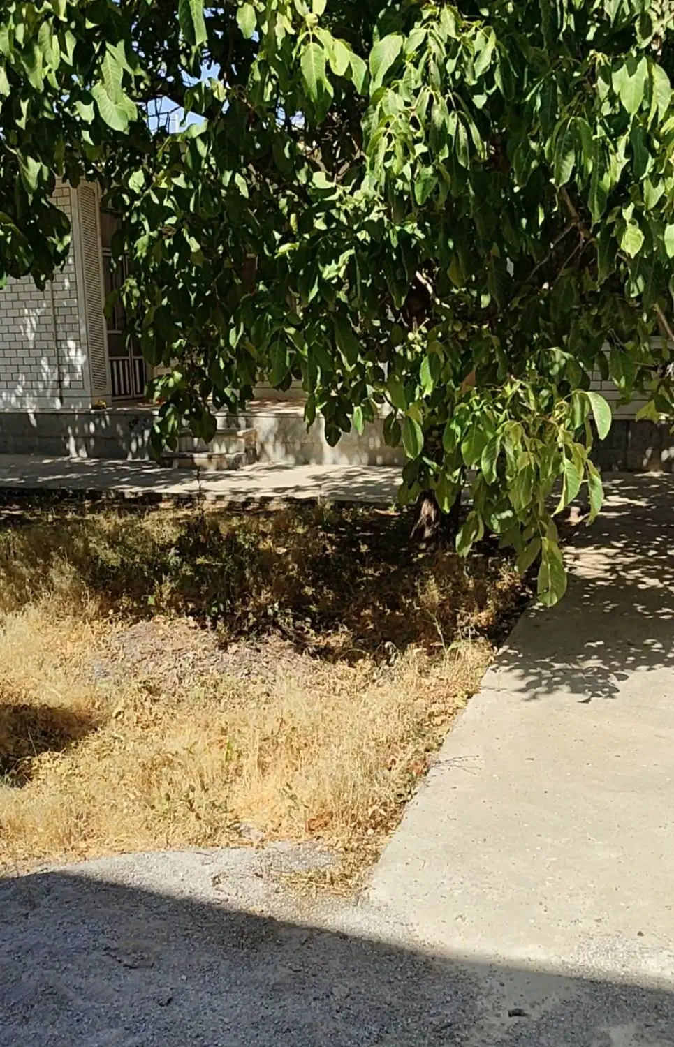 خانه ویلایی