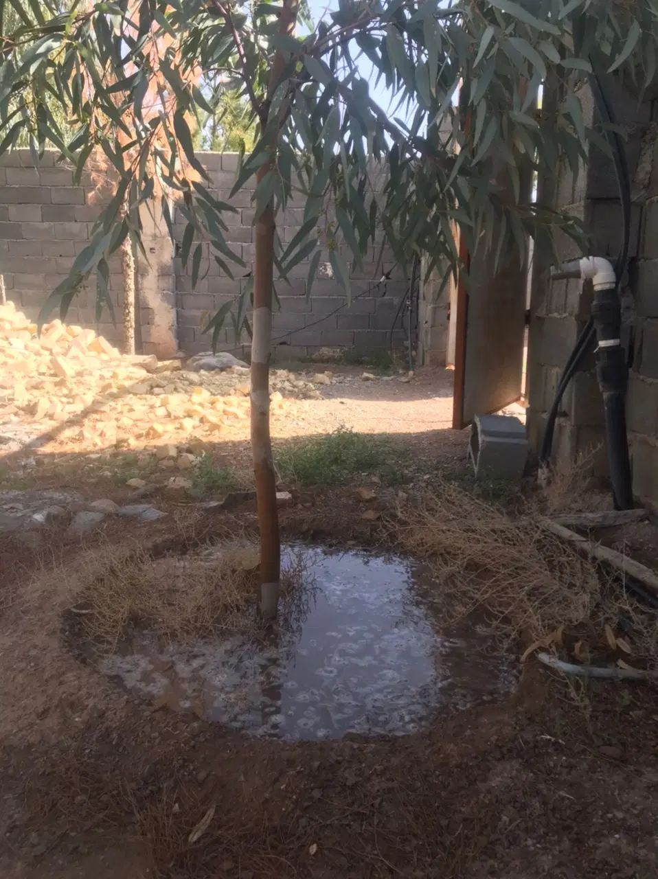 باغ چهار دیواری ۵۰۰متری جوزدان