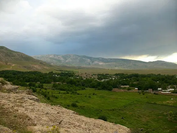 فروش زمین کشاورزی با خاک حاصلخیز چندسال کشت نشده