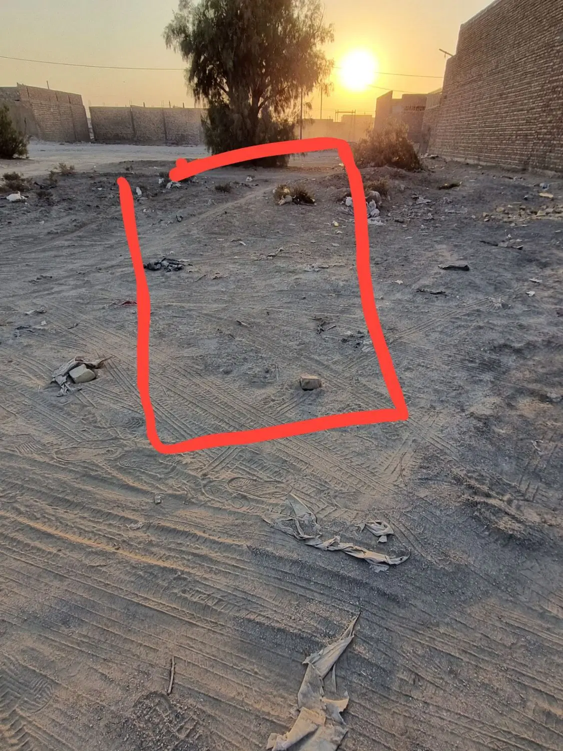 دانشگاه 12