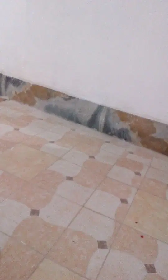 خانه ویلایی 75متر پاکدشت چنگی خونه اجاره حیاط دار
