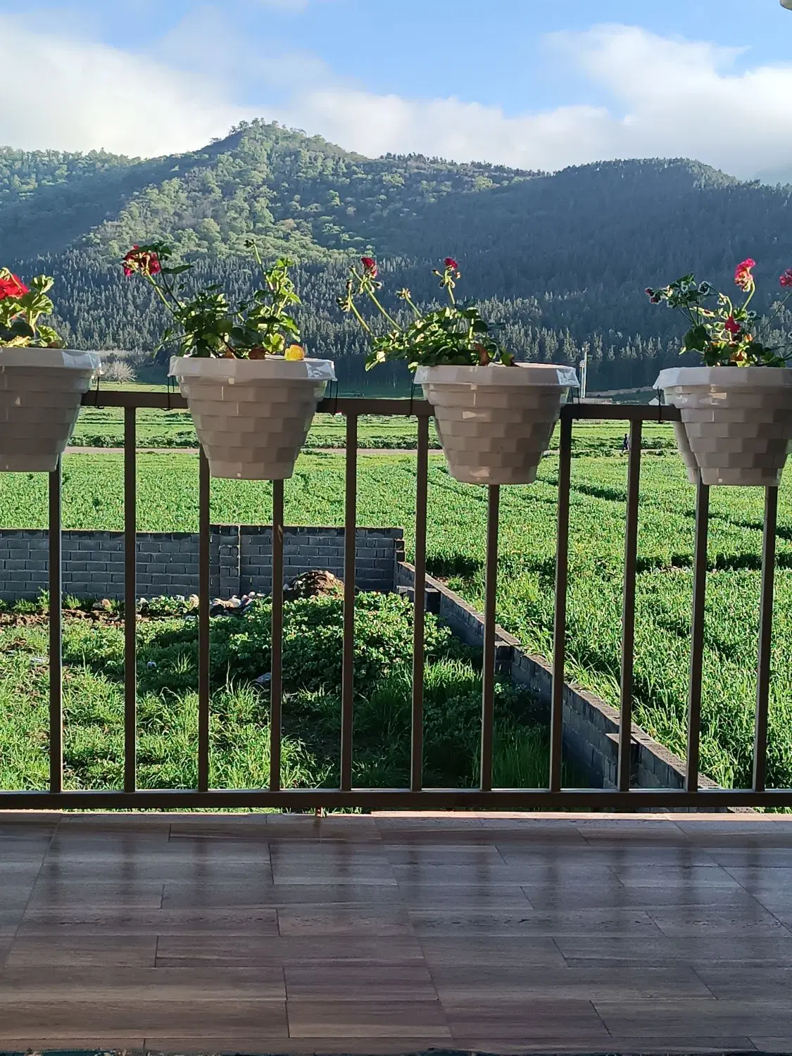 یک واحد ویلایی