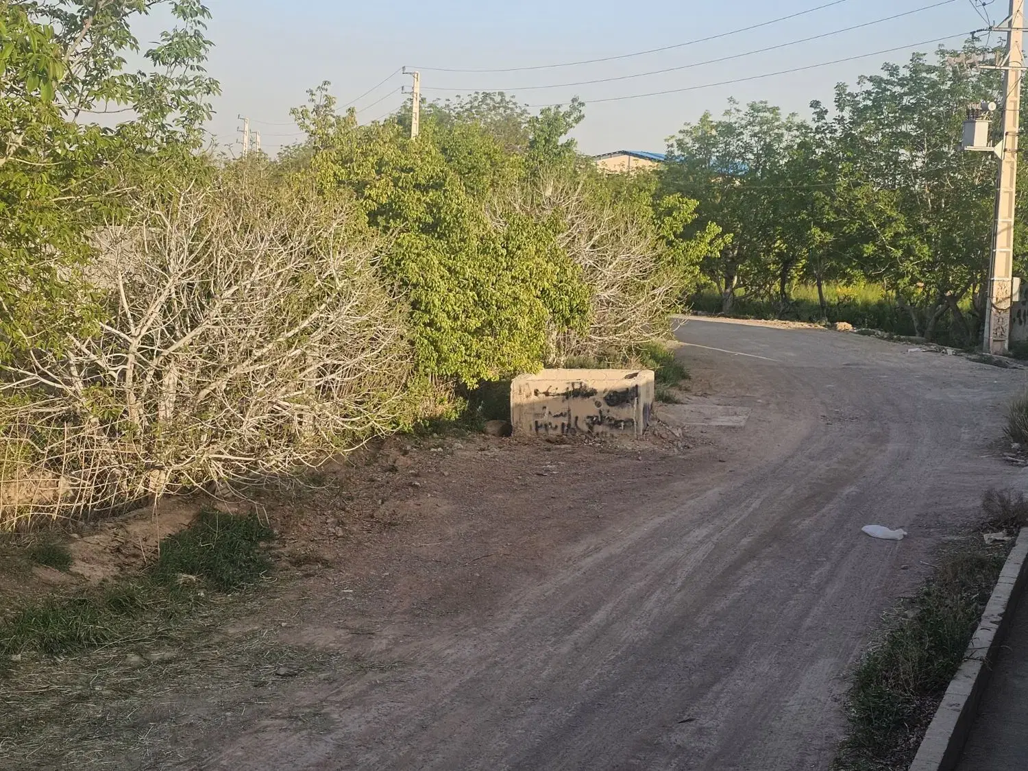 باغچه. زمین _باغ*چهار دیواری_