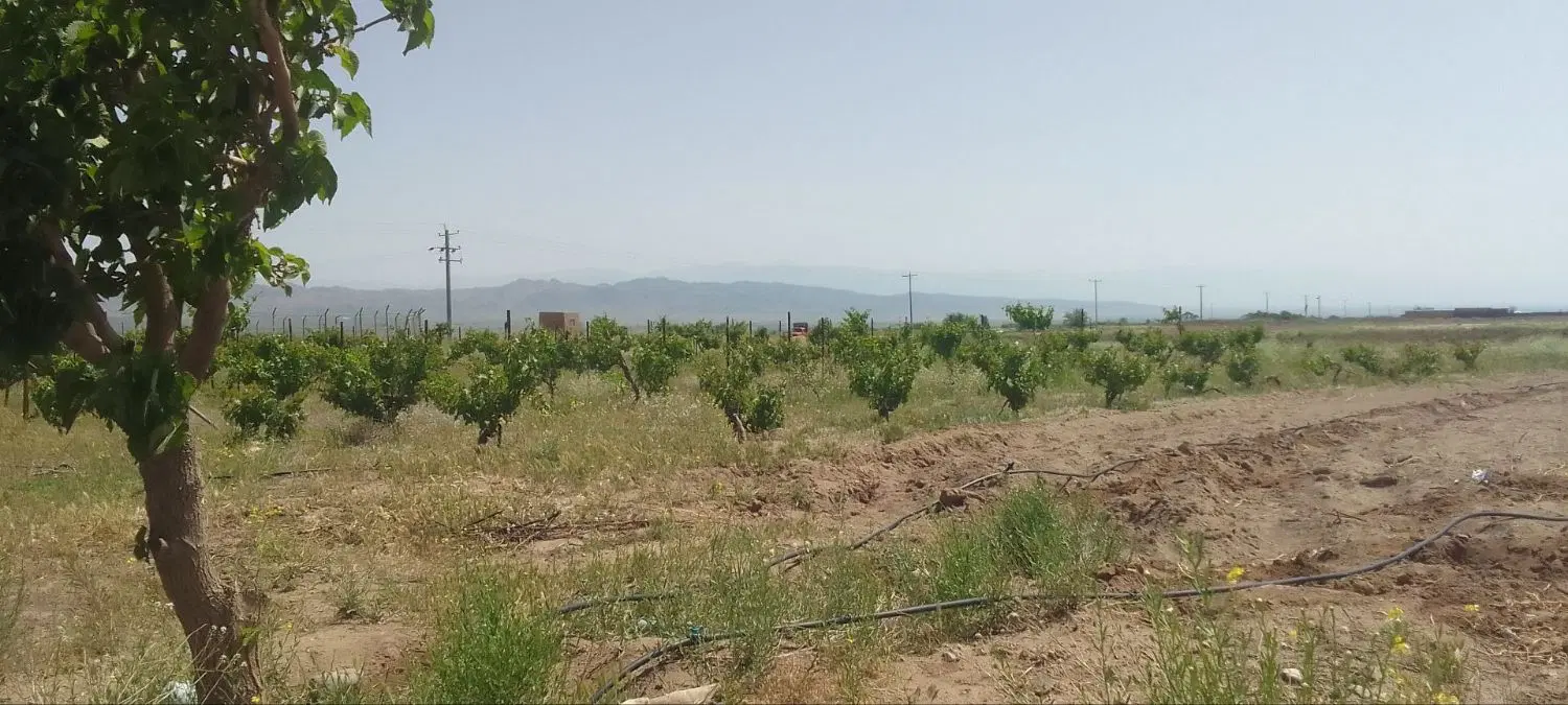 باغ بغل جاده اصلی. با امکانات کامل