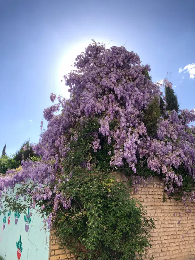 ۱۵۰ تجاری اجاره حاشیه جهت باشگاه ورزشی