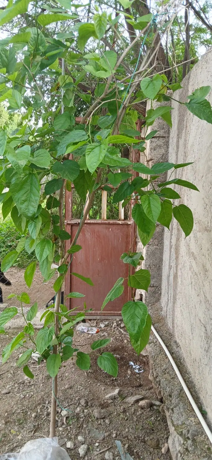 واحد صنعتی