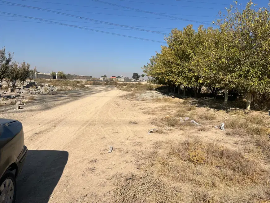 ۱۰۰۰متر زمین باغی واقع در کیکاور