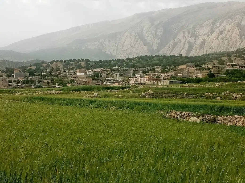 ۵۰۰ متر زمین مسکونی سرفاریاب
