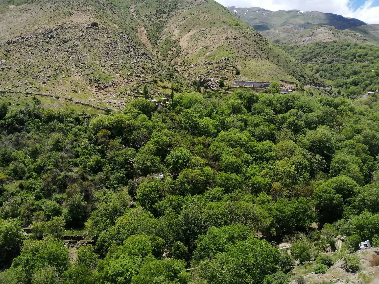 اجاره زمین کشاورزی گریزه
