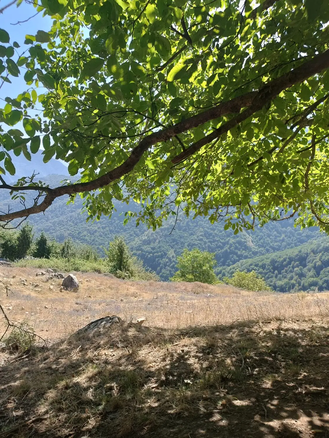 200زمین در روستای خوش اب هوای پاقعله رامیان