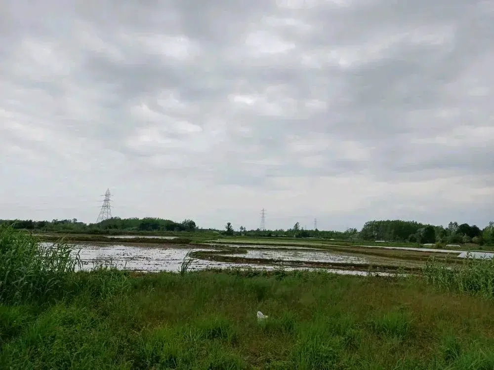 ۲۶۵متری مسکونی _پرواته ساخت