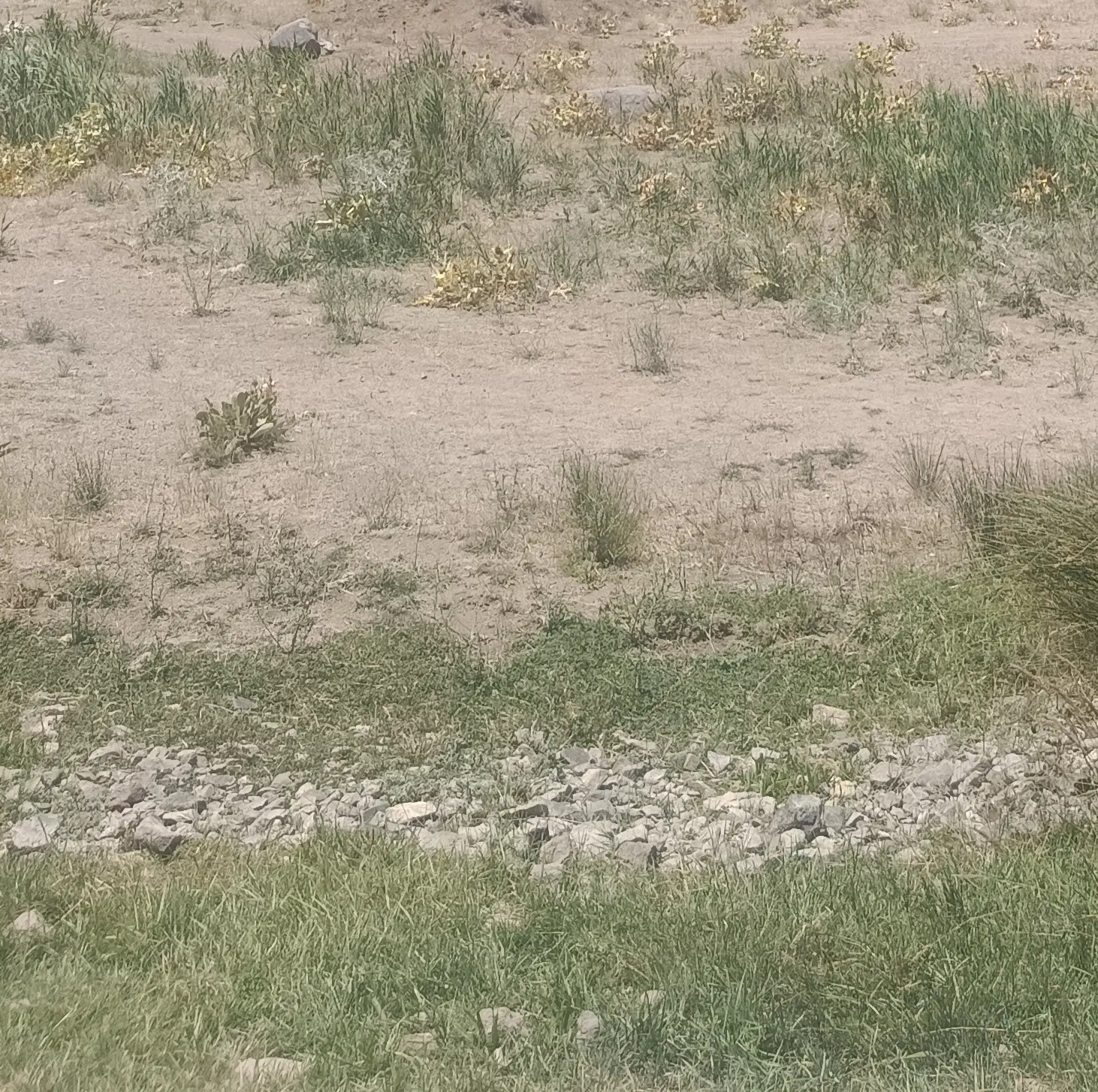 زمین۷۲متری دفترچه آب دارد