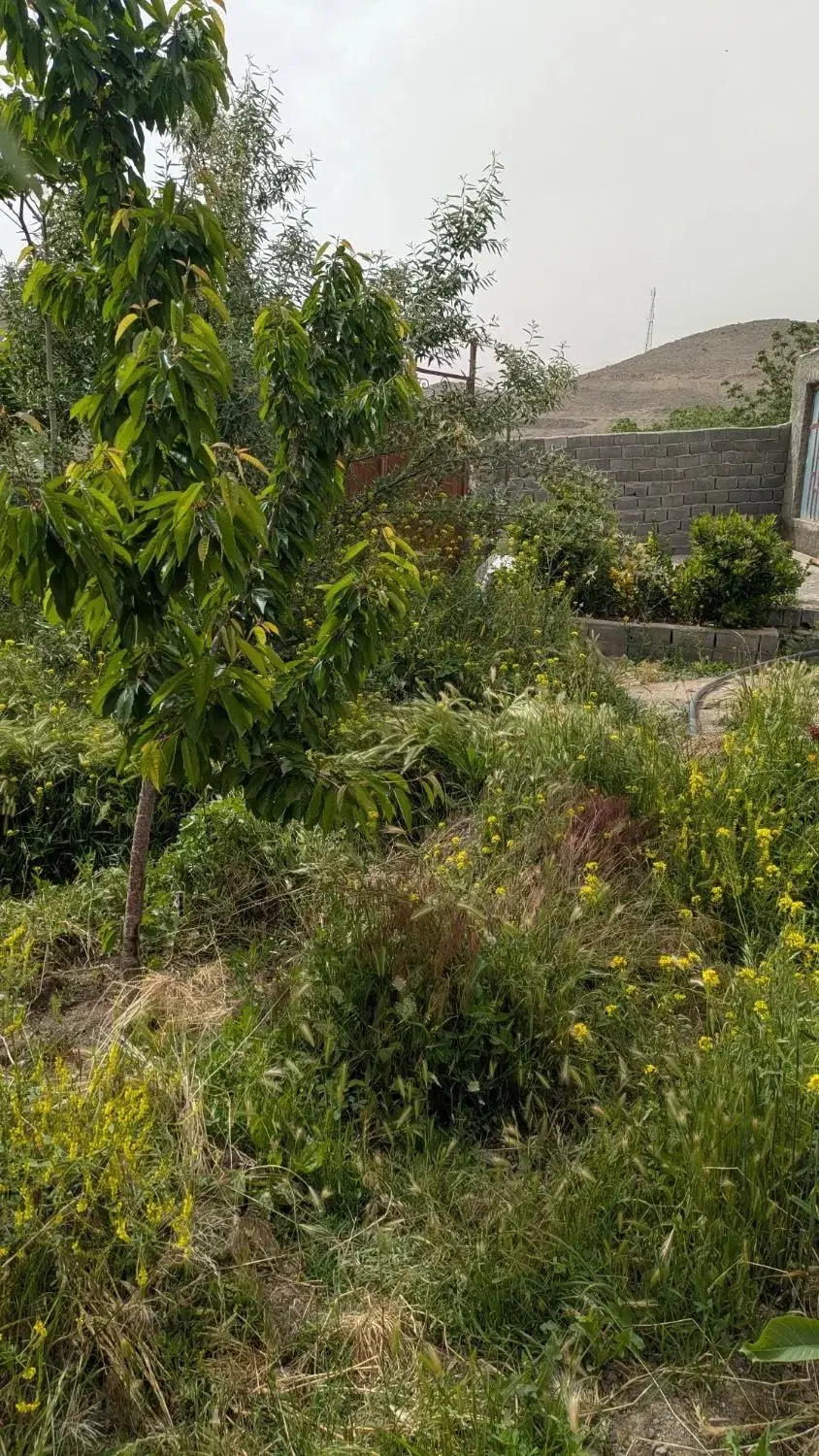 باغچه فروشی در نمیر رودهن