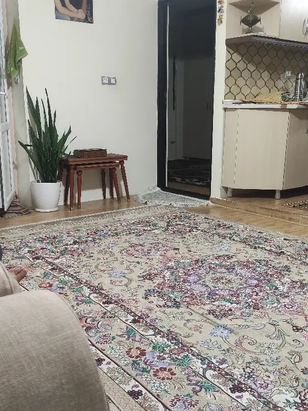 دو واحد خانه یک جا هادی آباد
