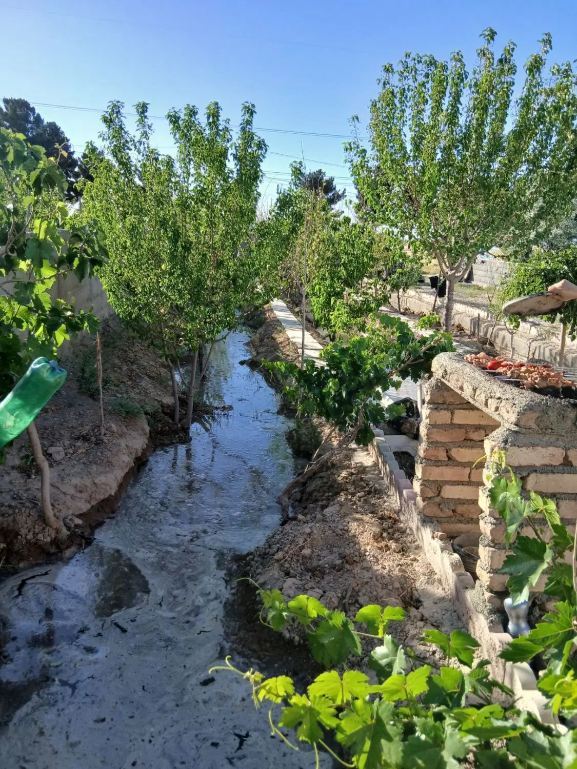 باغچه در کاظم اباد