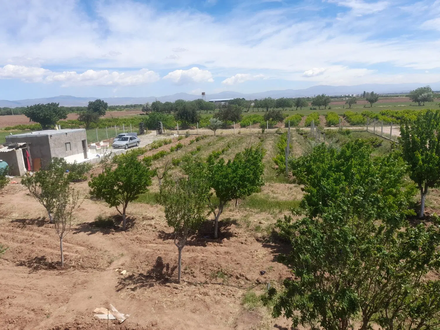 فروش باغ در ده بینه گاه اقبالیه
