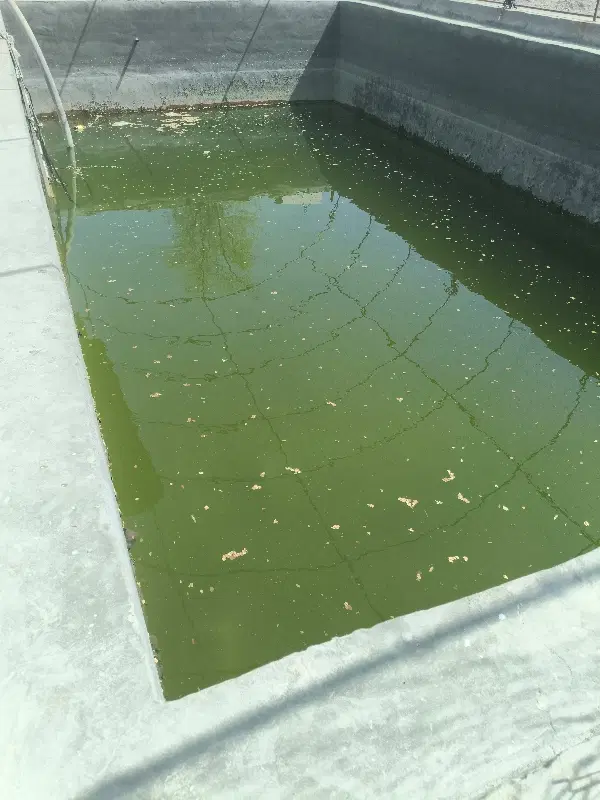 ۱ هکتار گلخانه جهت اجاره