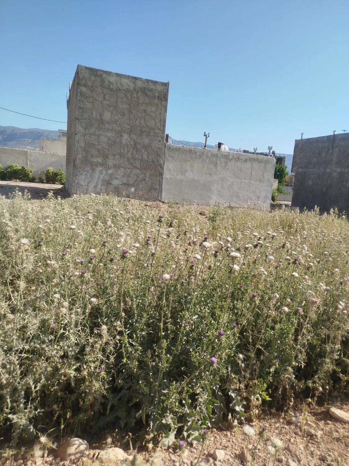 زمین 144متری تلوری