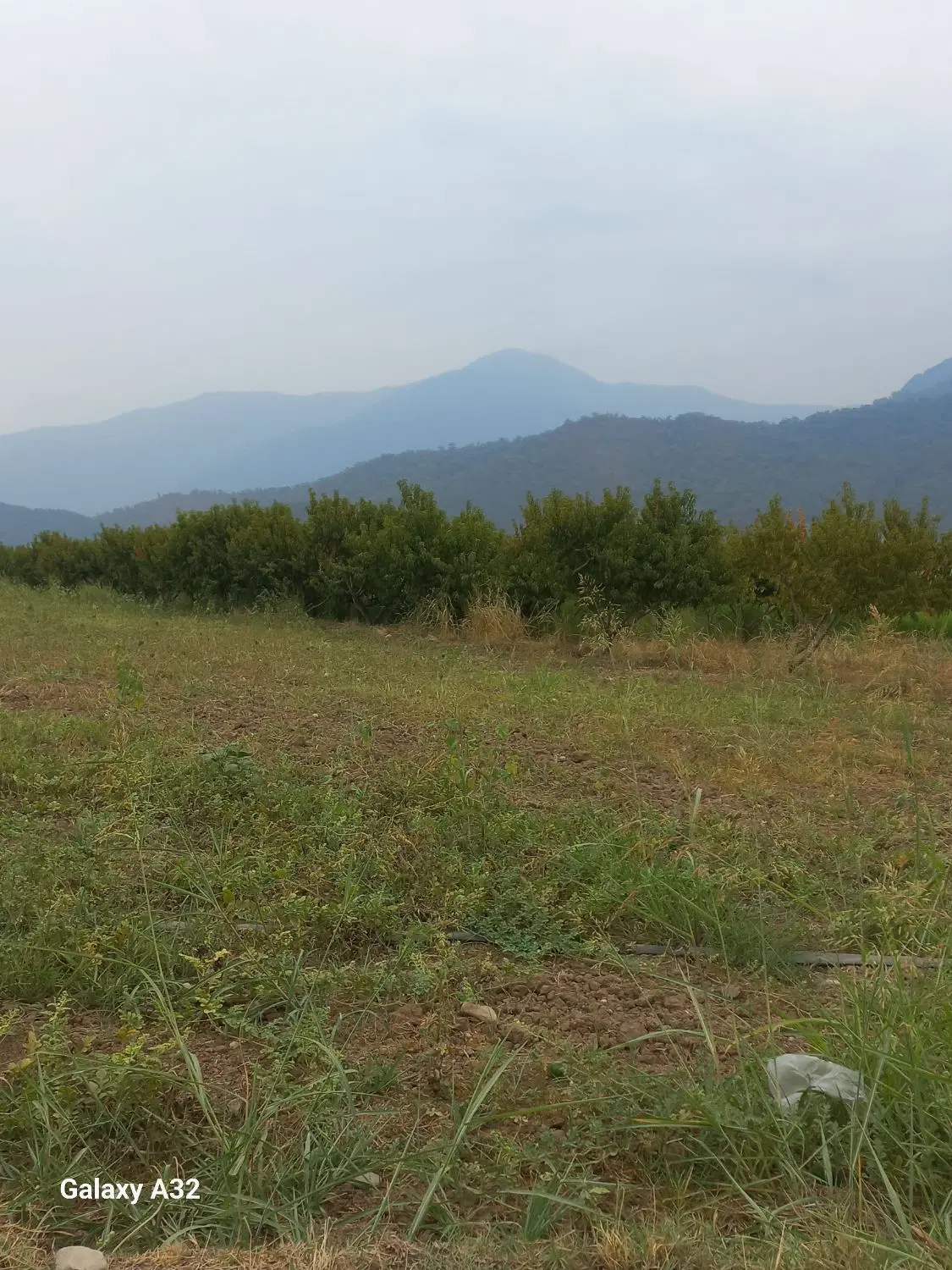 زمین کشاورزی