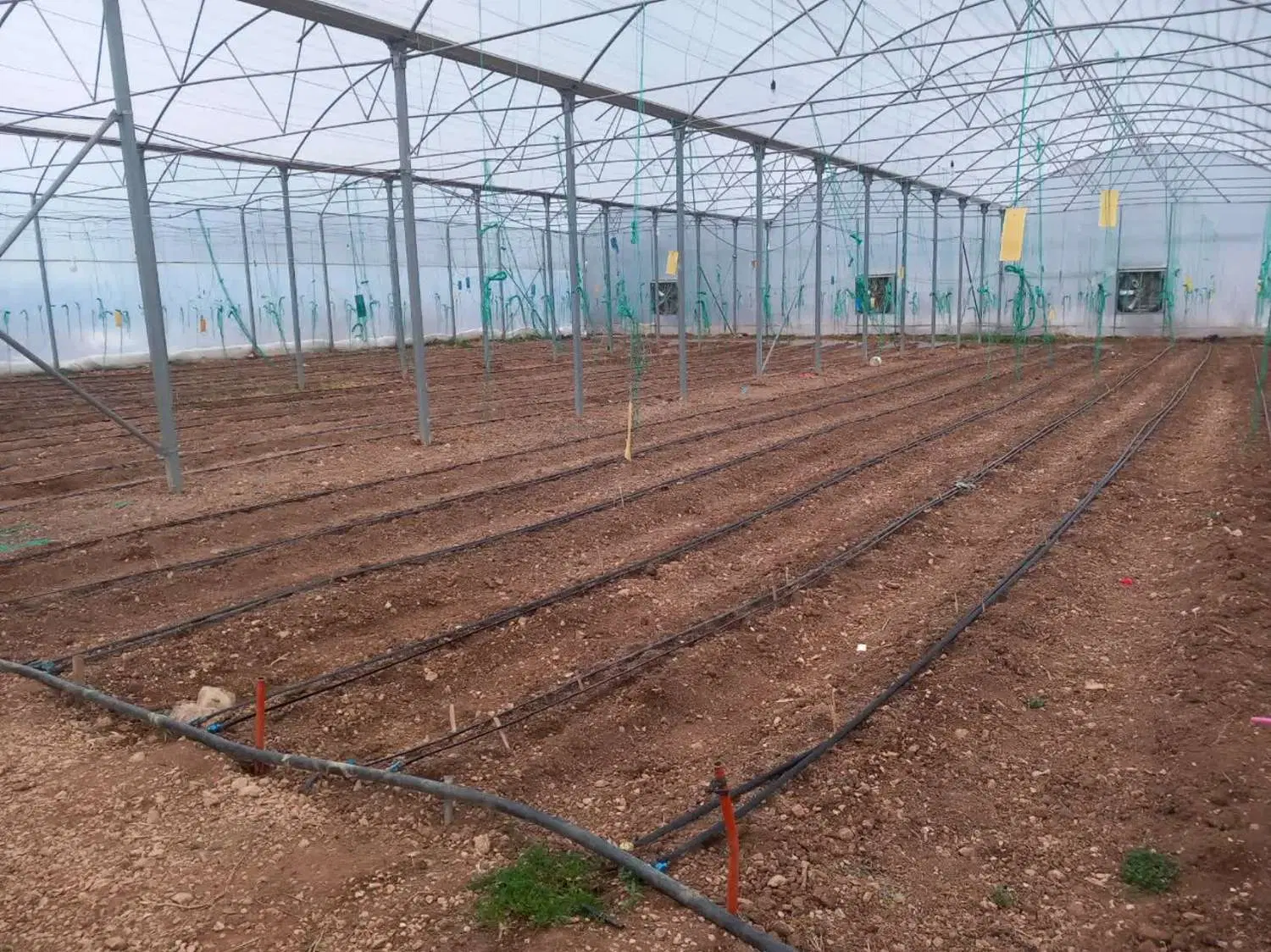 خانه باغ 5هزار متری واقع  شهرستان دالاهو