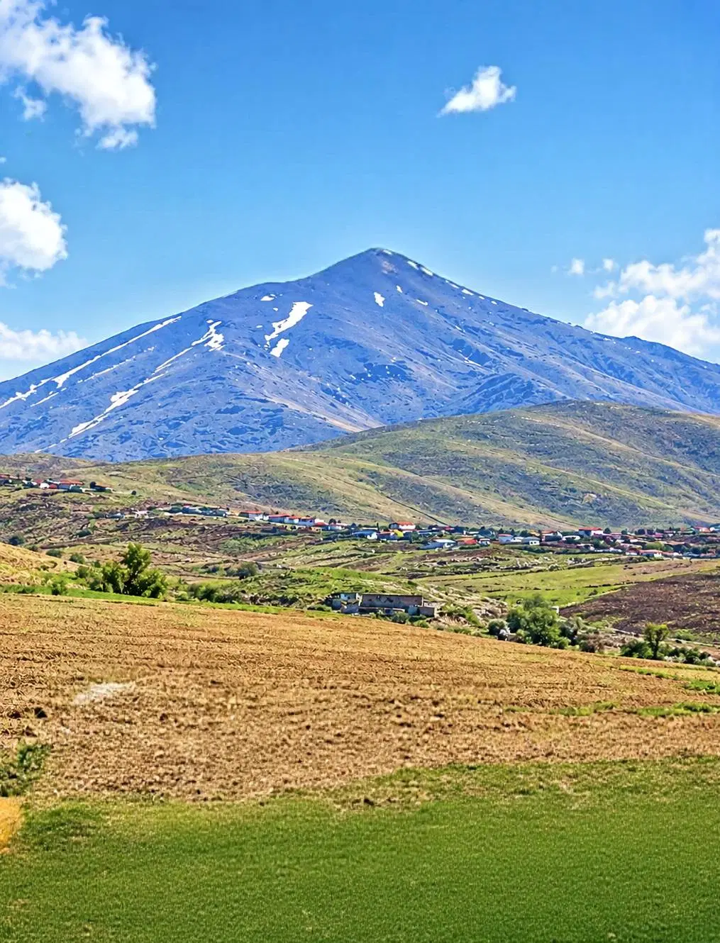 زمین کشاورزی (دیم)