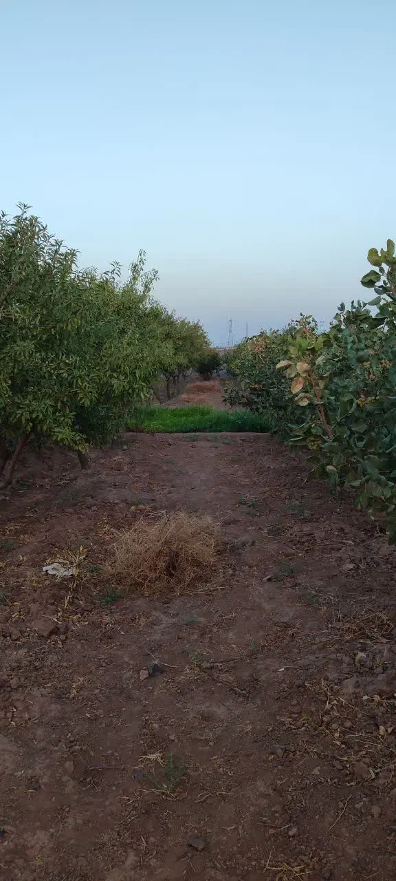 باغ چهاردیواری ۱۰۰۰ و ۱۵۰۰ متری