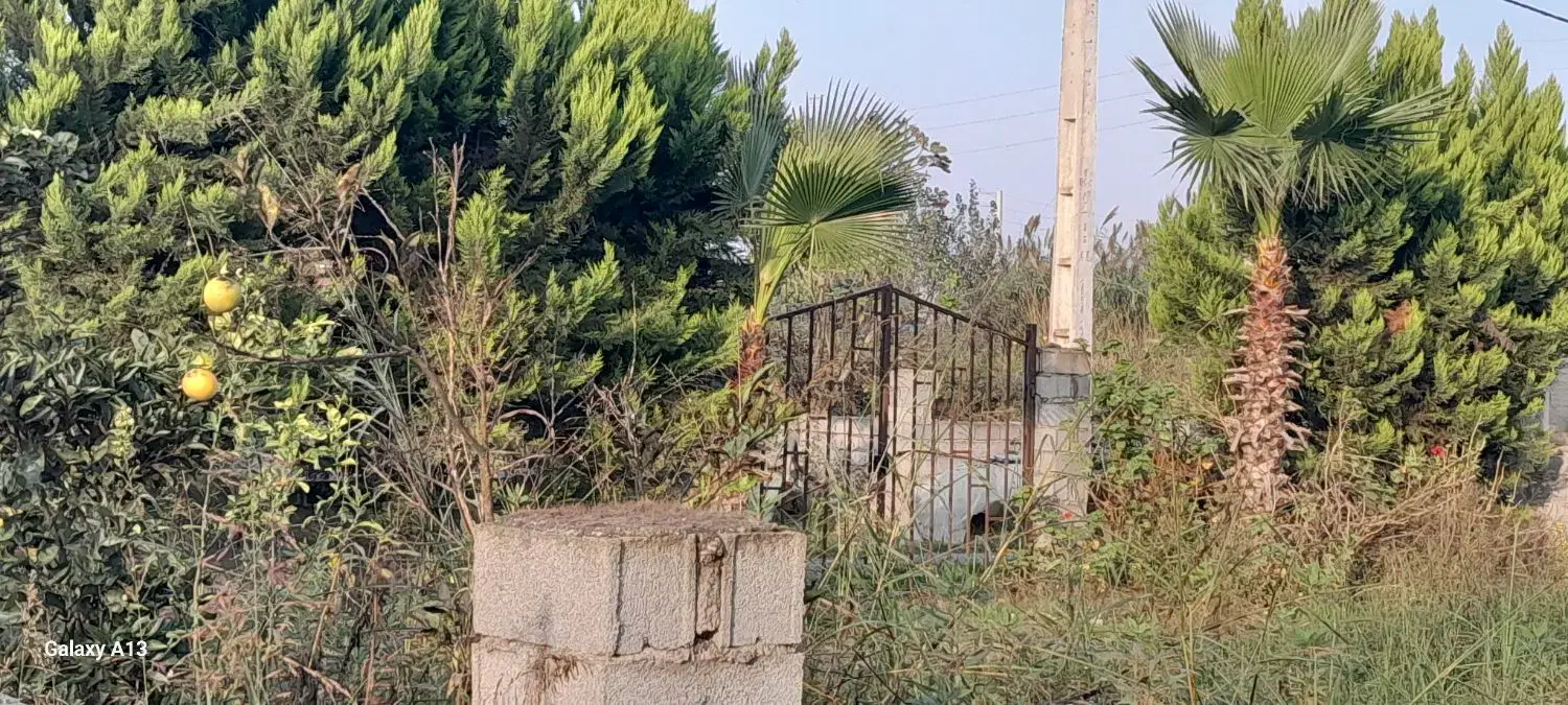 فروش200+200مترزمین سرخرود.اسکنده معاوضه *خودروویلا