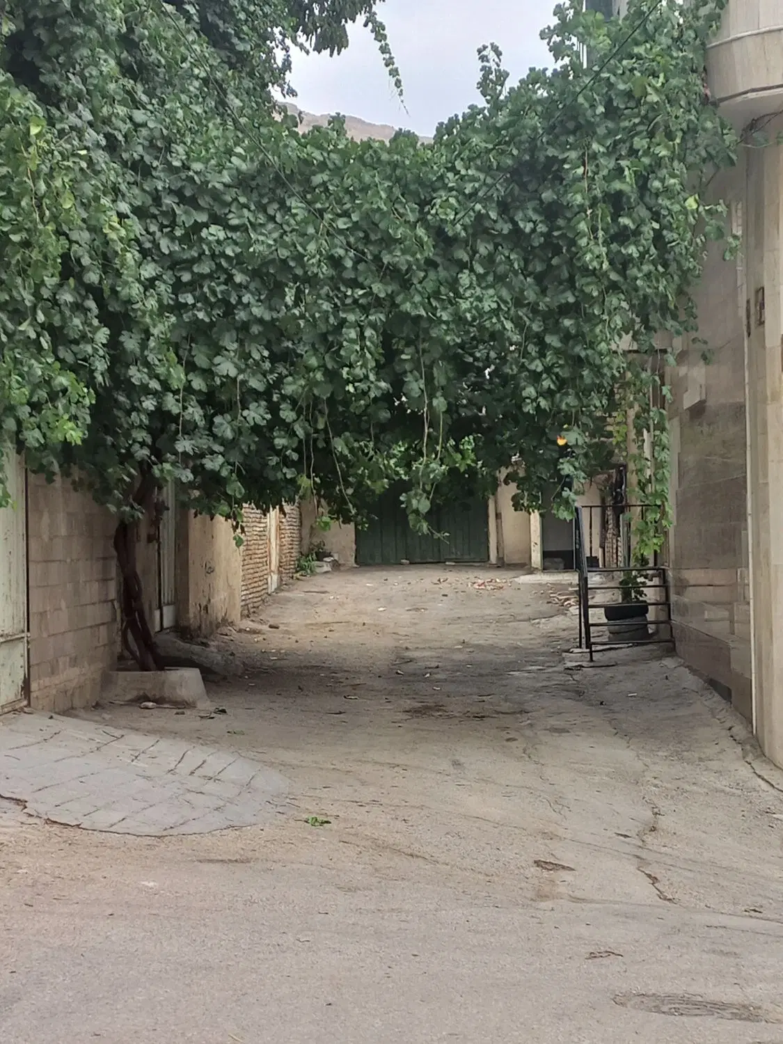 اجاره آپارتمان