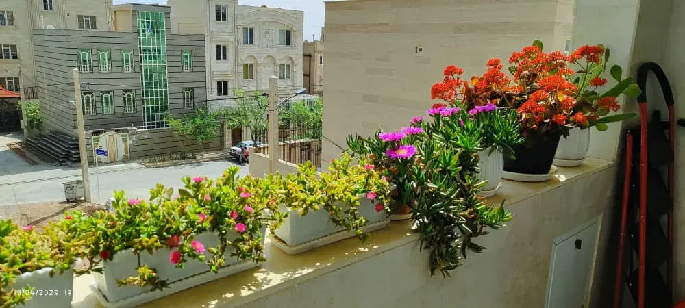 رهن فاز یک شمال ۱۳۰متر سه خواب
