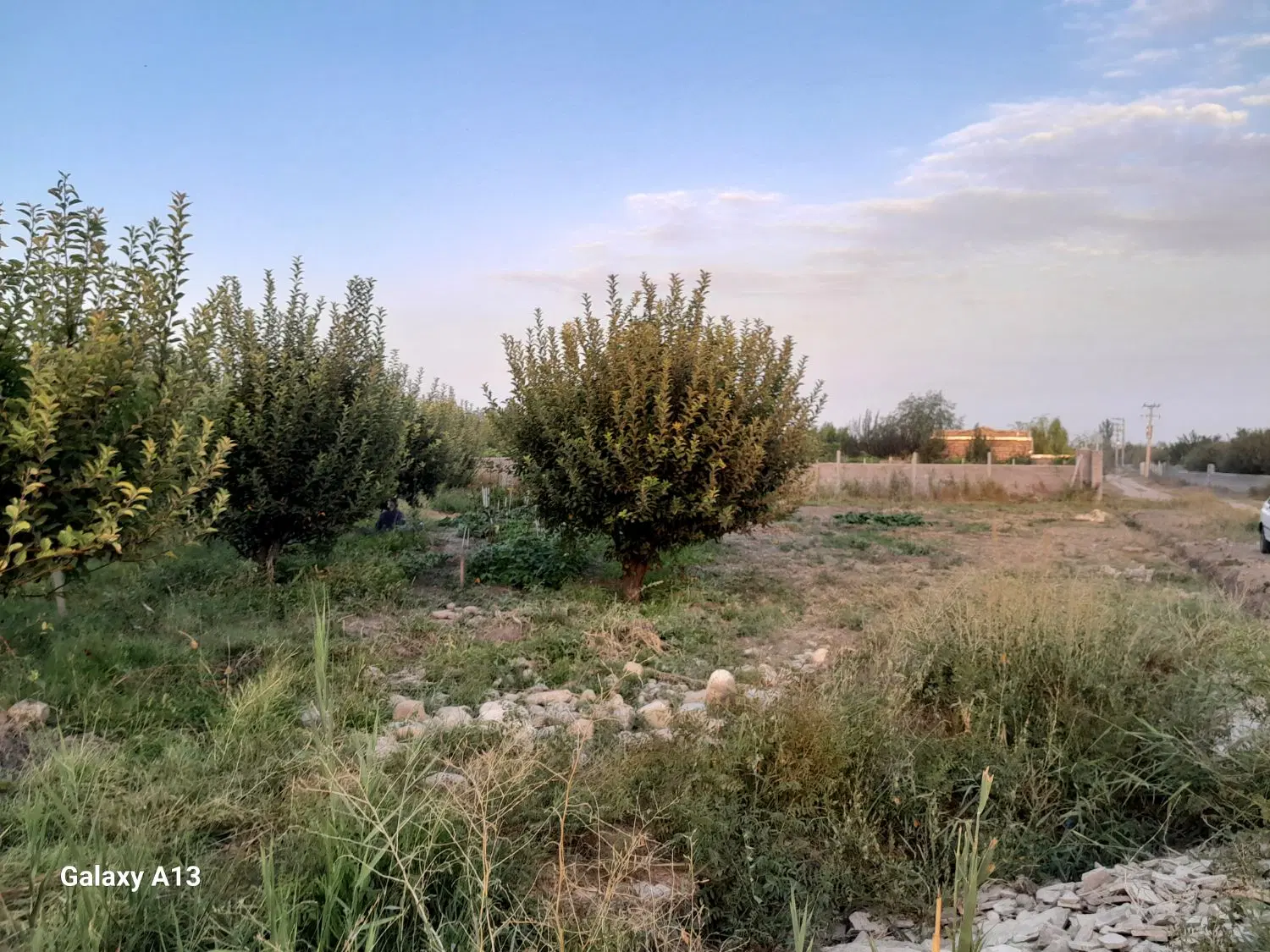 باغچه در جاده سنتو دارای سندمادر