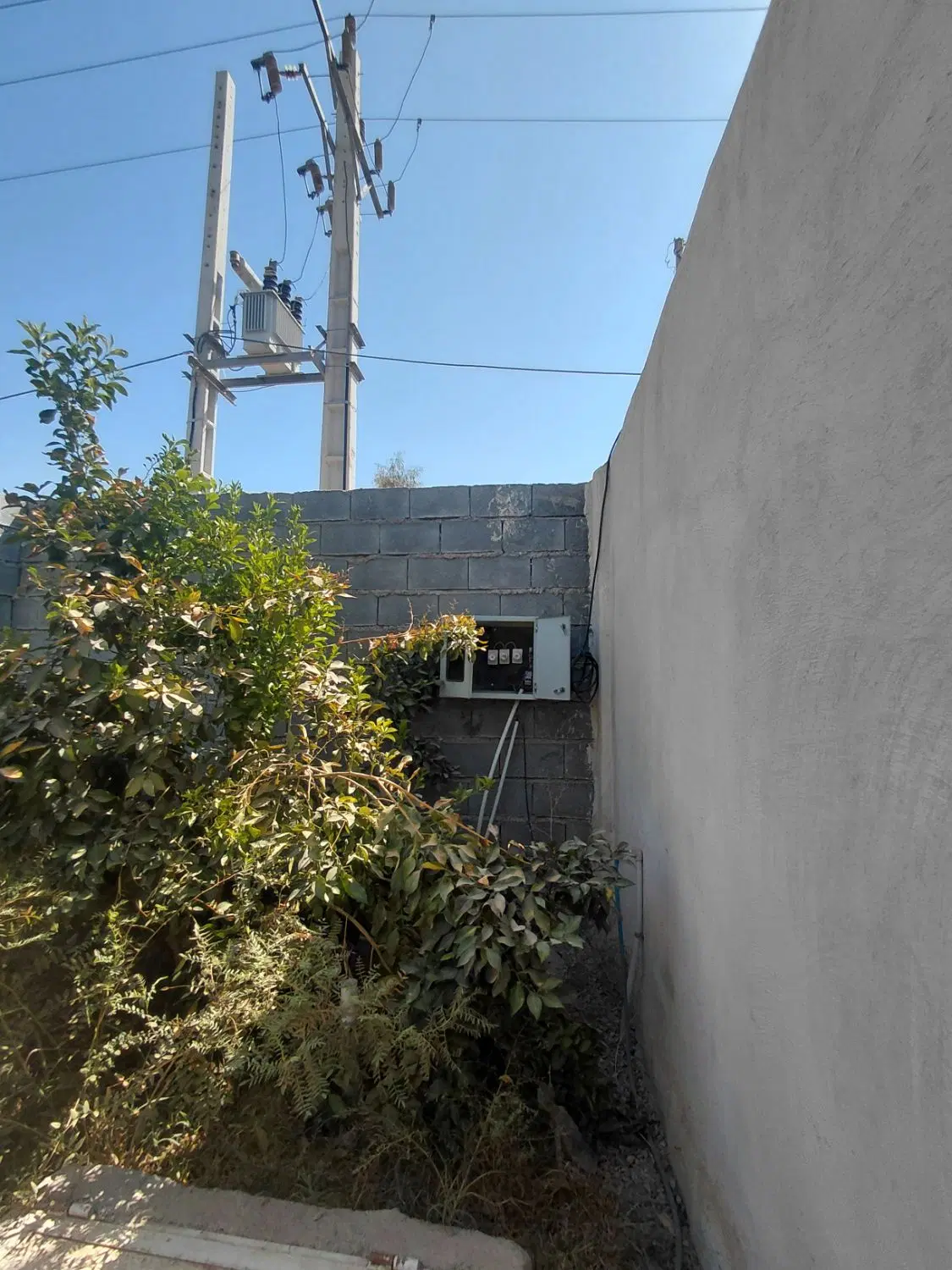 باغ ۴۱۰۰ متری سند تک برگ نزدیک جاده اصلی