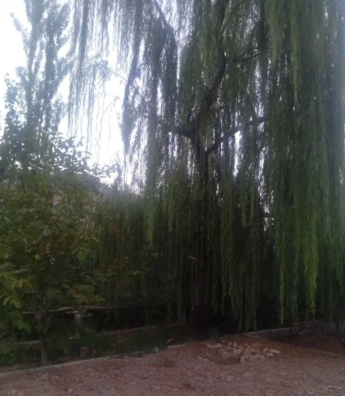 ده روستا مزرعه آب استخر خانه دام زمین چراگاه کوه