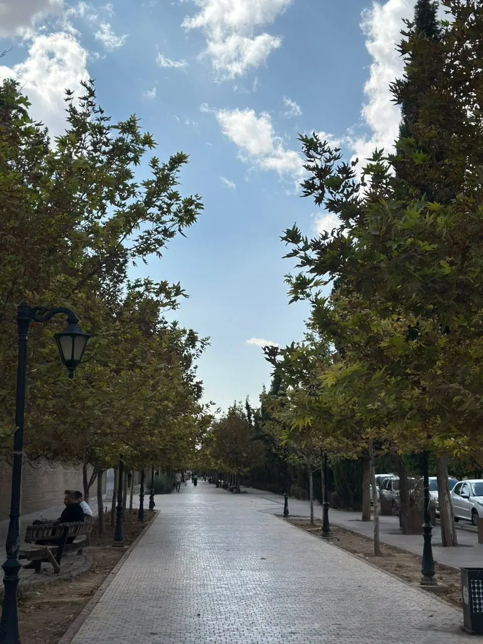 بنی هاشم