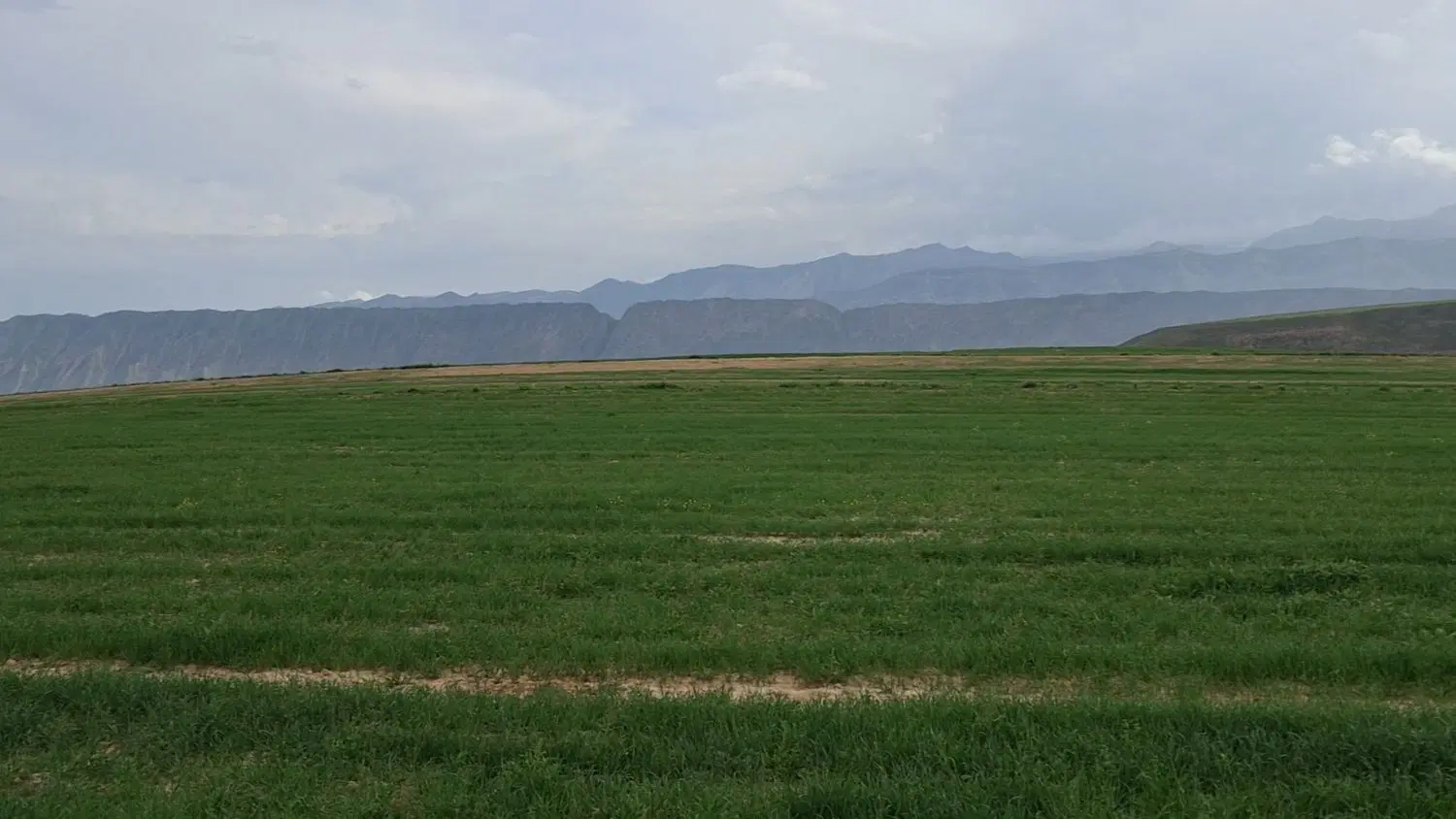 زمین