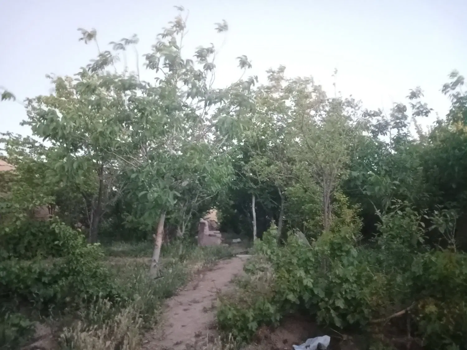 زمین کفسان  توضیحات رو بخونید