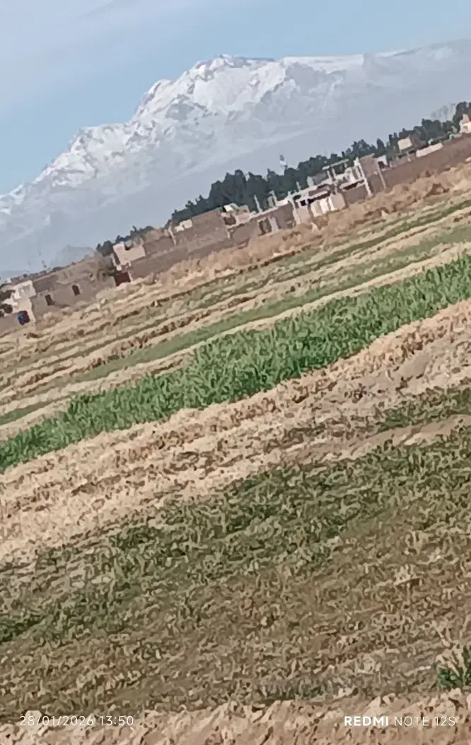 فروش « فوری » زمین مسکونی