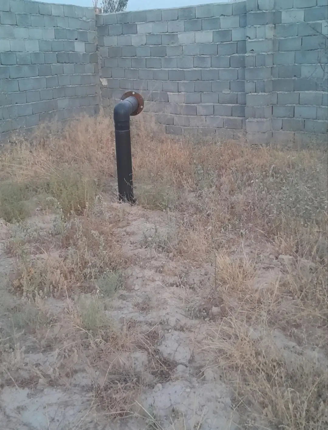 باغ
