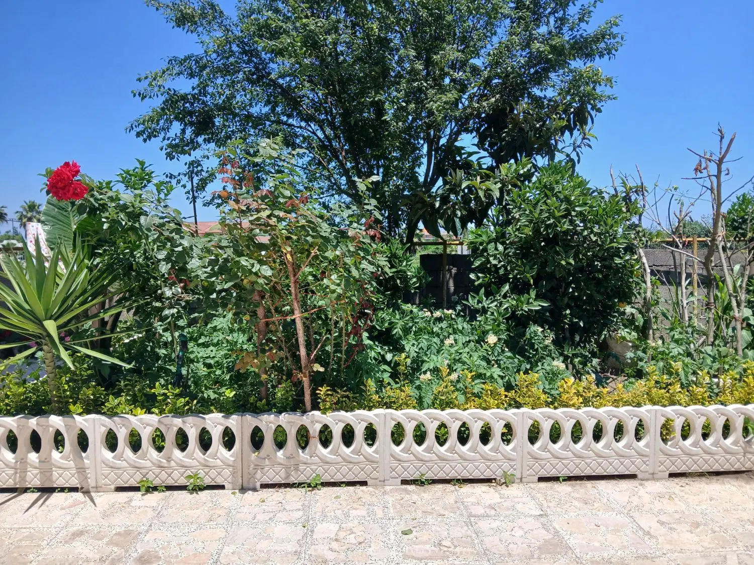 اجاره خانه ویلایی