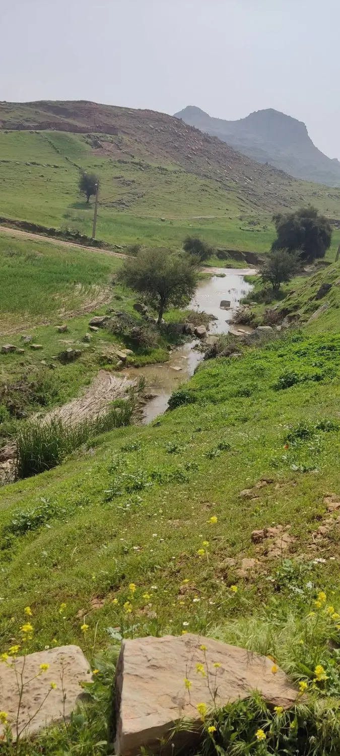 زمین زراعی دیمی
