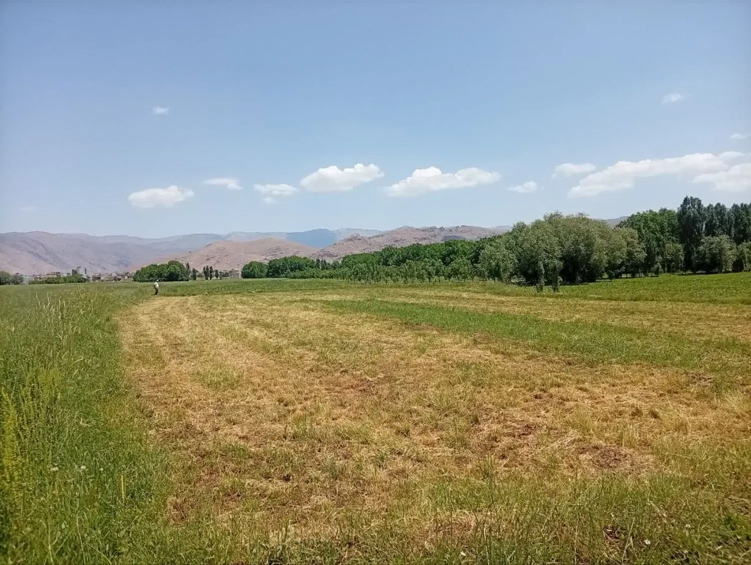 زمین آبی مناسب کشت و باغ